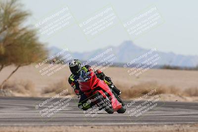 media/Nov-30-2025-TrackXperience (Sun) [[c0061d280f]]/2-Level 2/Session 6 Turn 4 Tree of Life/